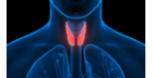 analises-da-tiroide